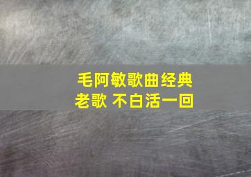 毛阿敏歌曲经典老歌 不白活一回